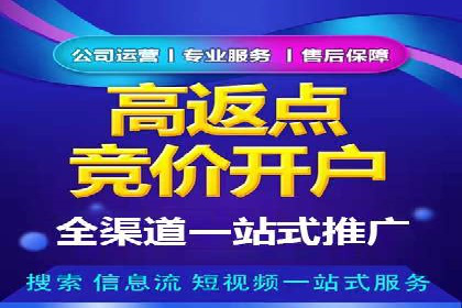 百度联盟推广网络覆盖的案例研究